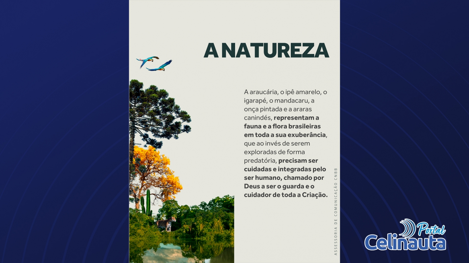Conheça o cartaz da Campanha da Fraternidade 2025!