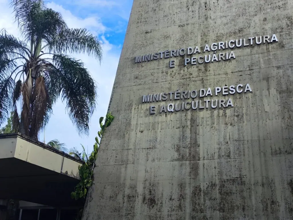 Entidades defendem continuidade técnica na gestão da...